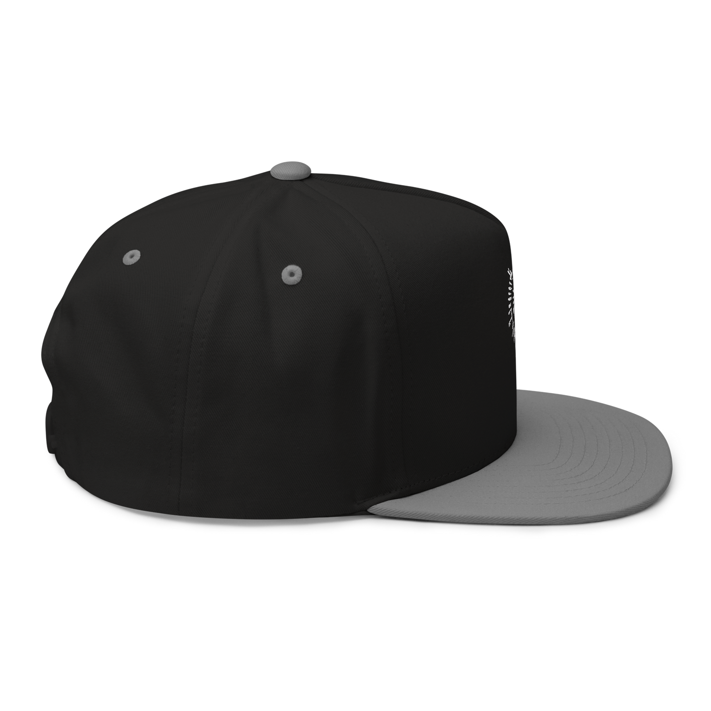 Astarion's Scar 5 Panel Flat Bill Cap