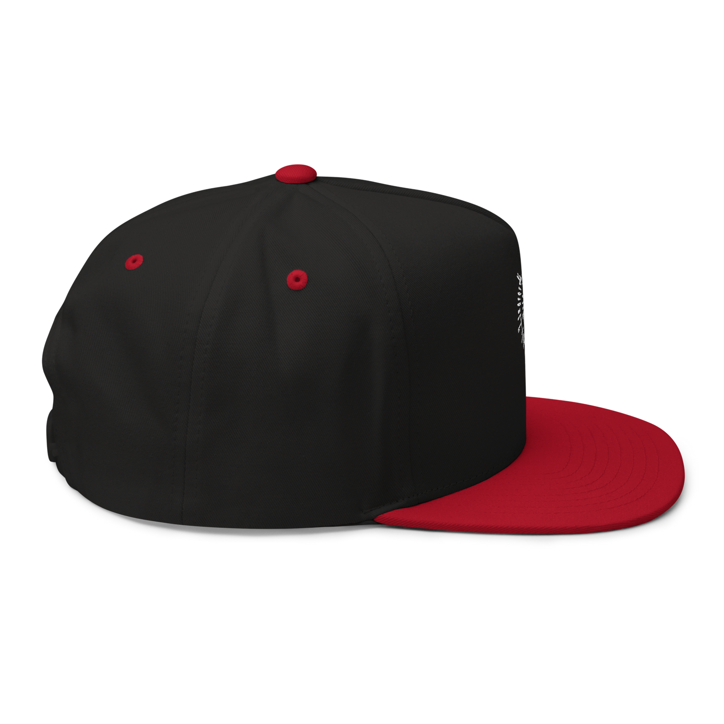 Astarion's Scar 5 Panel Flat Bill Cap