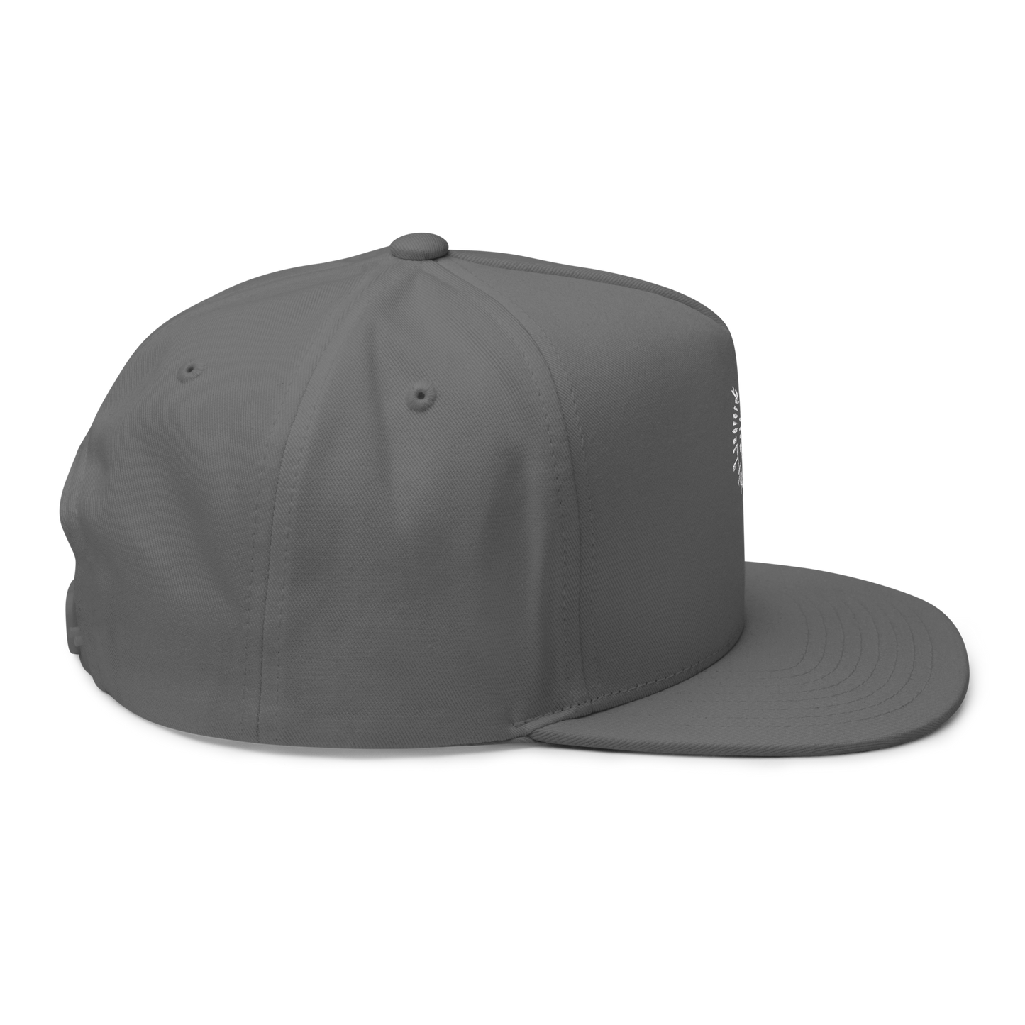 Astarion's Scar 5 Panel Flat Bill Cap