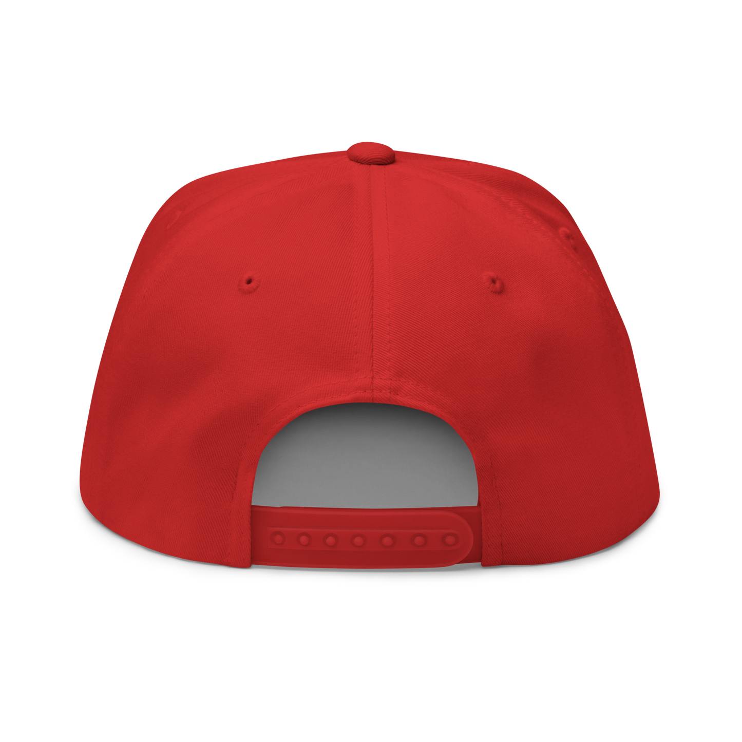 Astarion's Scar 5 Panel Flat Bill Cap