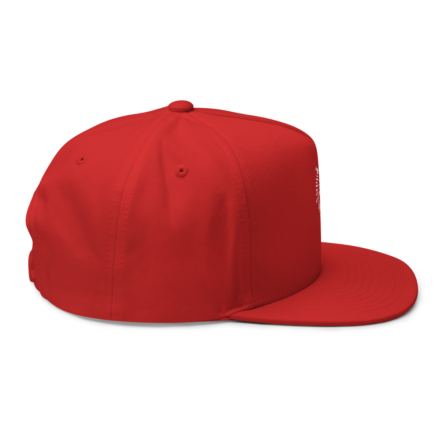 Astarion's Scar 5 Panel Flat Bill Cap
