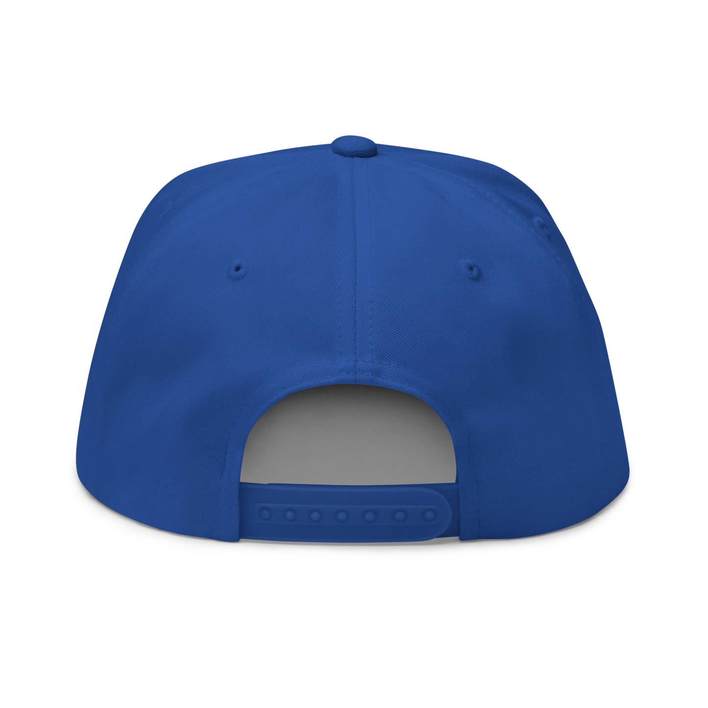 Astarion's Scar 5 Panel Flat Bill Cap