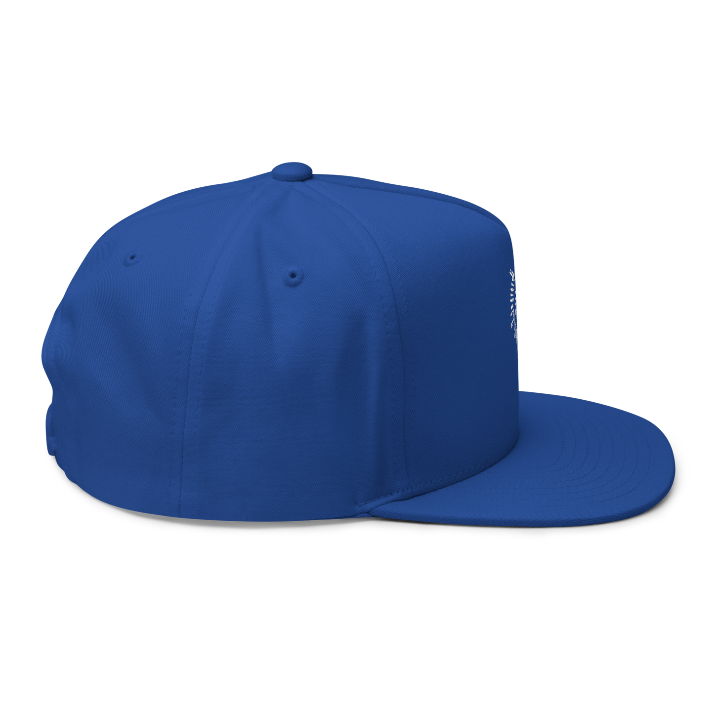 Astarion's Scar 5 Panel Flat Bill Cap