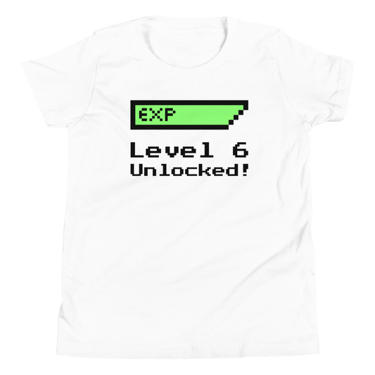 Sixth 6th Birthday Youth T-Shirt (Unisex)