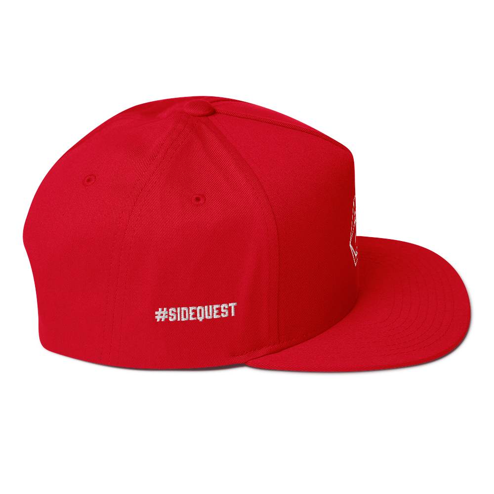 Gorra plana de 5 paneles D20